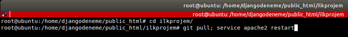 Git Pull & Apache Restart