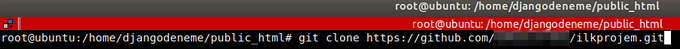 Git Pull