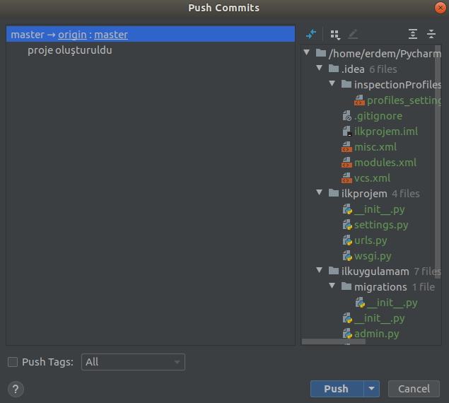 Git Push