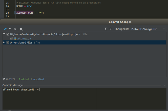 Git Push