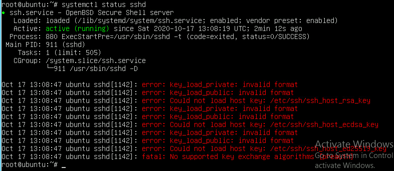 ssh_key_load_private_invalid_format_key_load_public_invalid_format