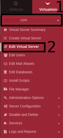 edit_virtual_server_virtualmin