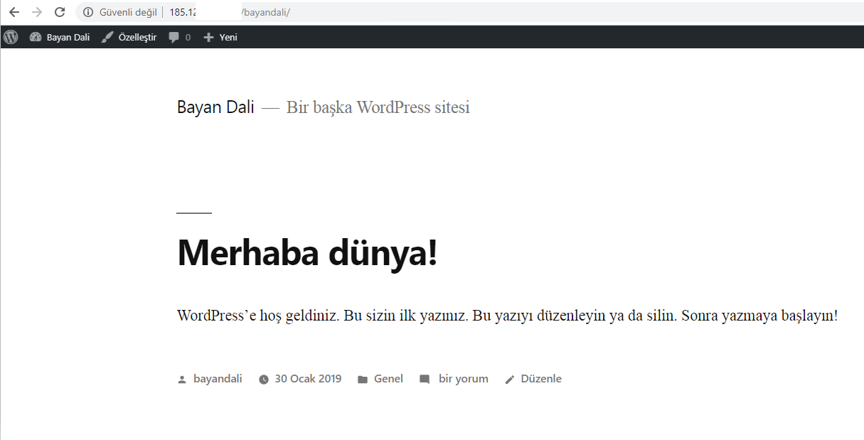 first-page-on-wordpress